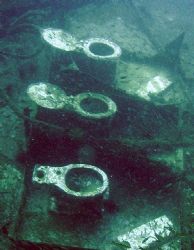 No toilet paper AGAIN!?! 
(King Cruiser Wreck, Andaman Sea) by Gordana Zdjelar 